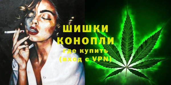 СК Магас