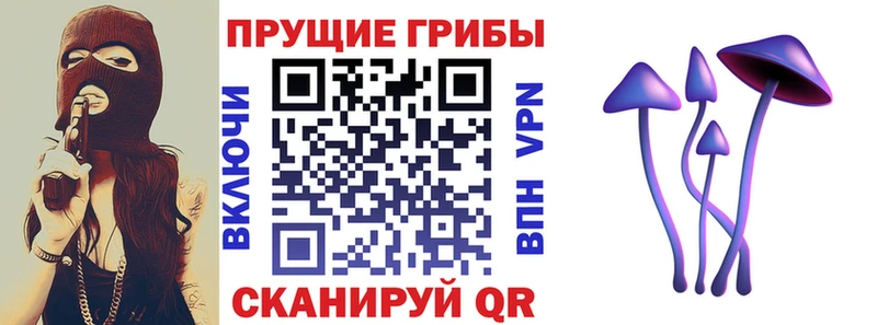 это состав  Смоленск  Псилоцибиновые грибы Psilocybe 